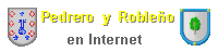 Logo web